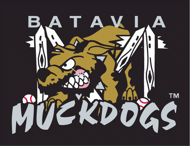 Batavia Muckdogs 1998-Pres Cap Logo 2 iron on paper